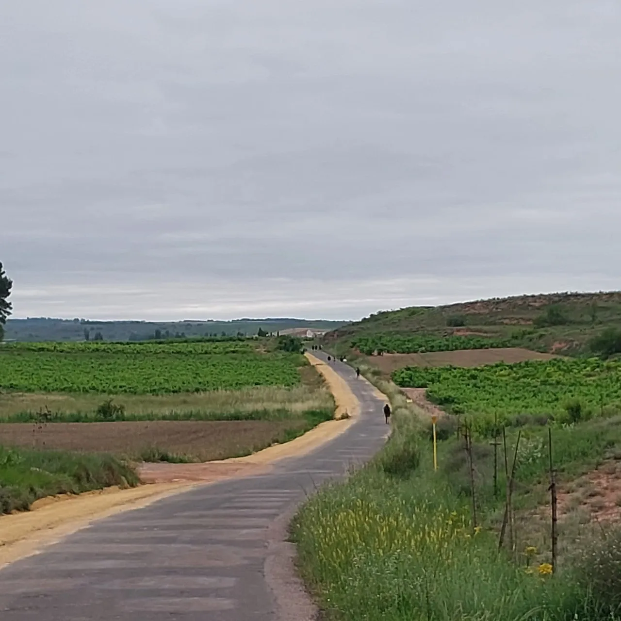 d_j3cUd018svc1isn380bufz54_bc1i52.jpg?type=e1920_std