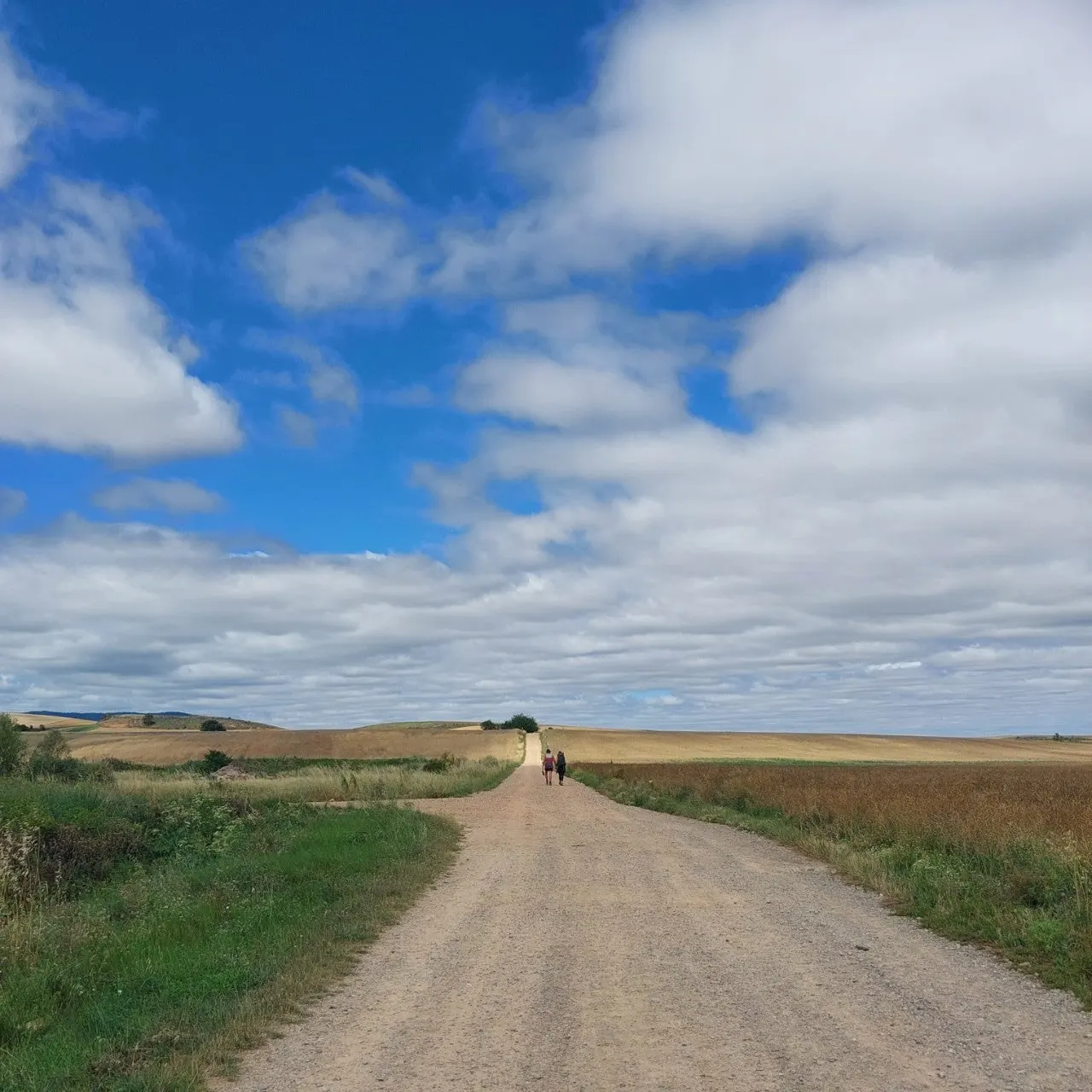 f_c3cUd018svc1t33v4cxwmuxq_bc1i52.jpg?type=e1920_std