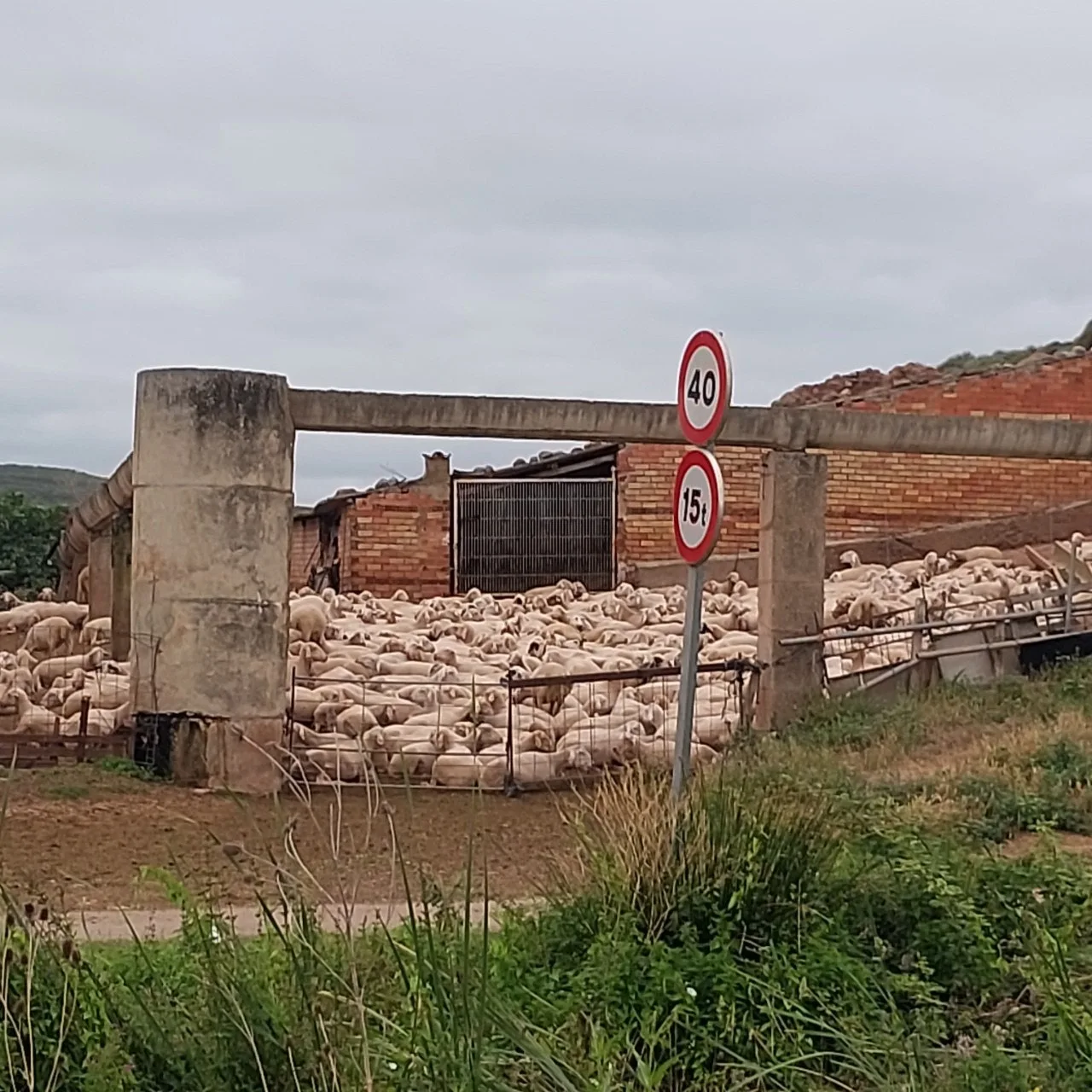 h_c3cUd018svc6k4mwztux7h1_bc1i52.jpg?type=e1920_std