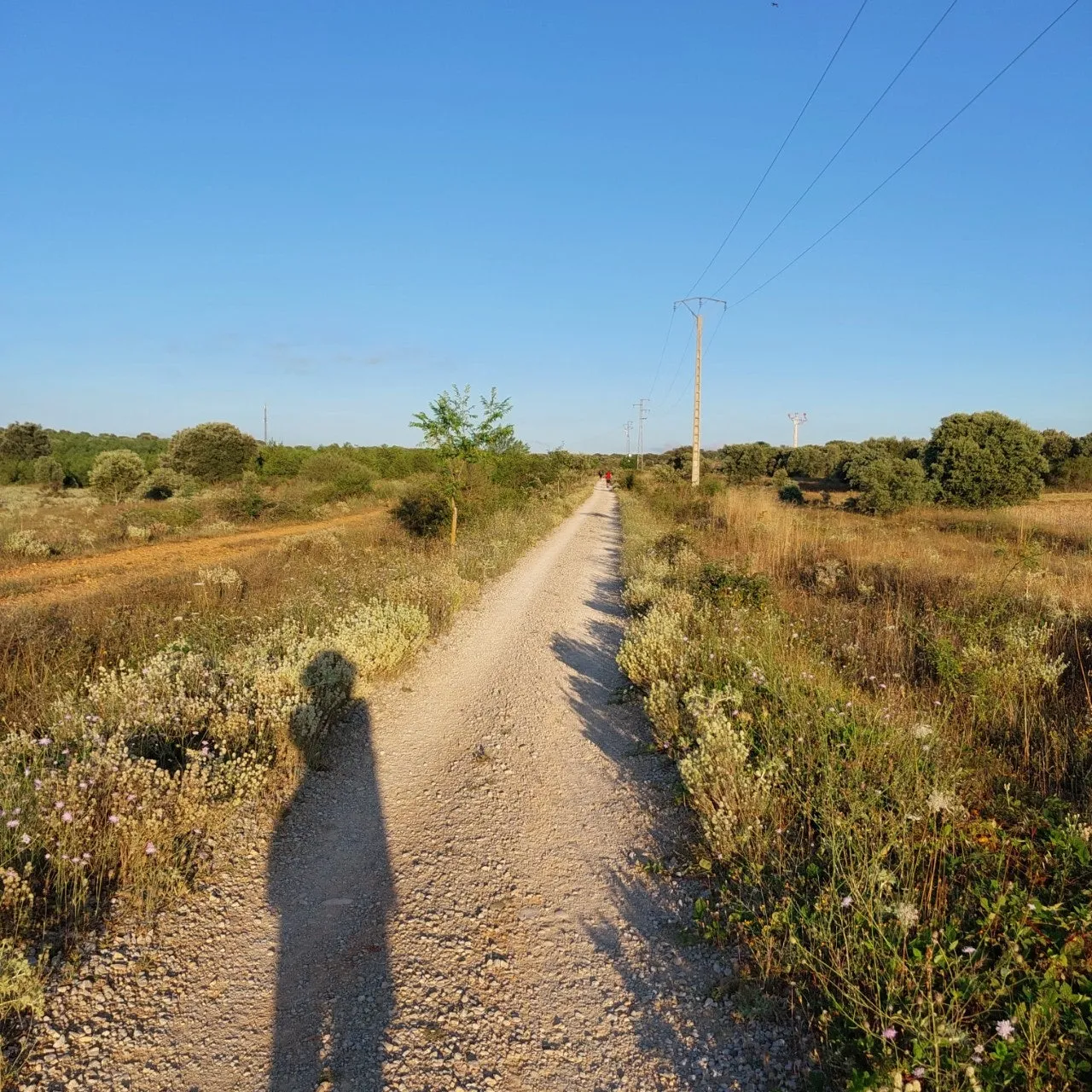 a_1a6Ud018svcswmnwypjx6hb_bc1i52.jpg?type=e1920_std