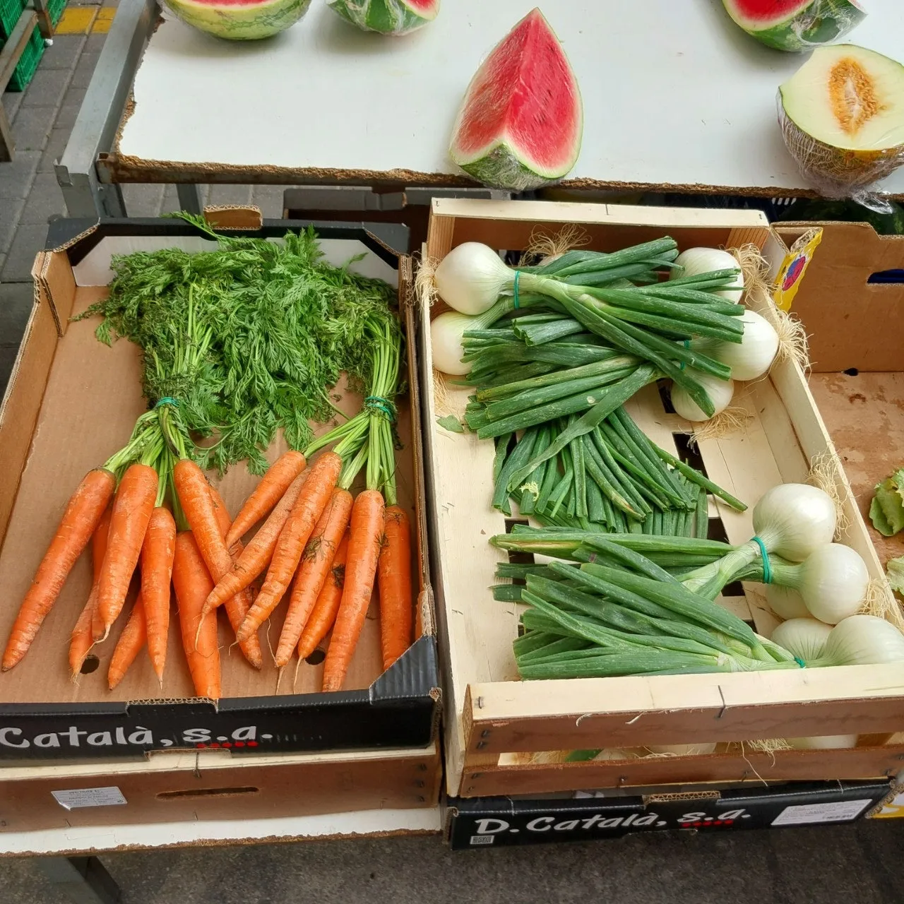 8_fabUd018svce6vge1jr8eh2_bc1i52.jpg?type=e1920_std