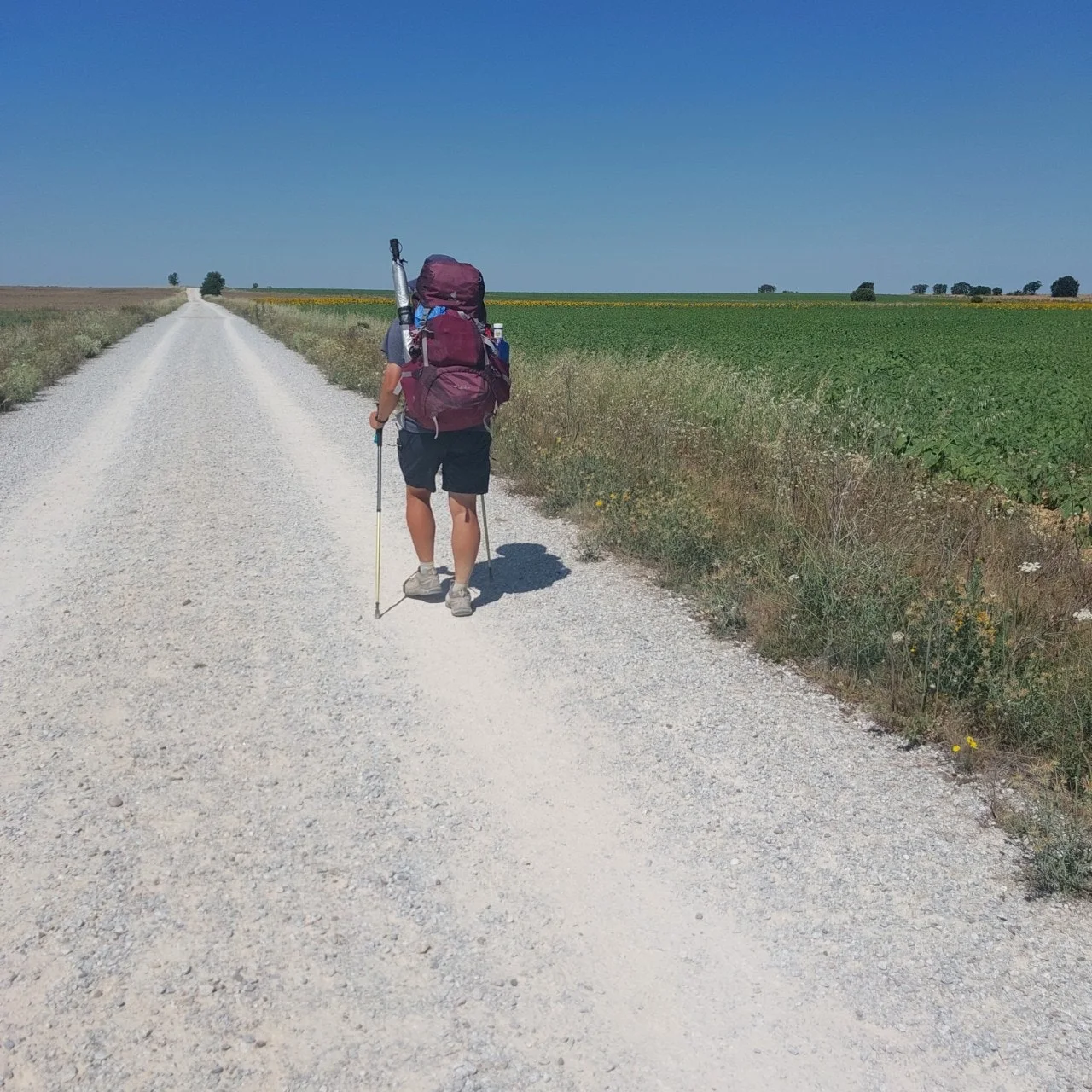 9_ab4Ud018svc1gy2e8s8ldirp_bc1i52.jpg?type=e1920_std