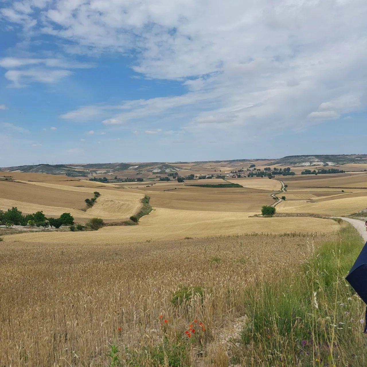 h_40eUd018svc9x3iznmpgh3f_bc1i52.jpg?type=e1920_std