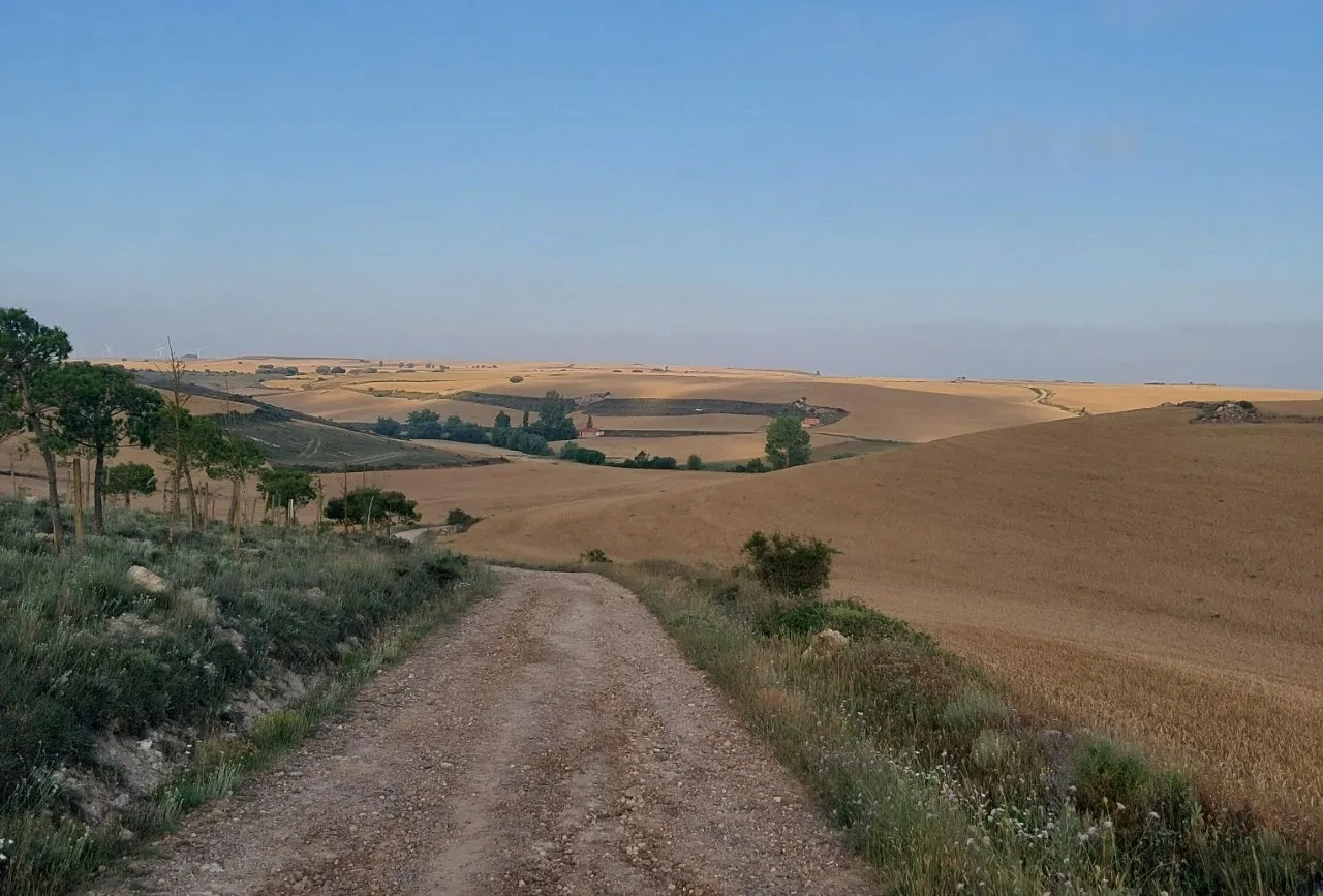 c_g86Ud018svc1x5f9u2clgjen_bc1i52.jpg?type=e1920_std