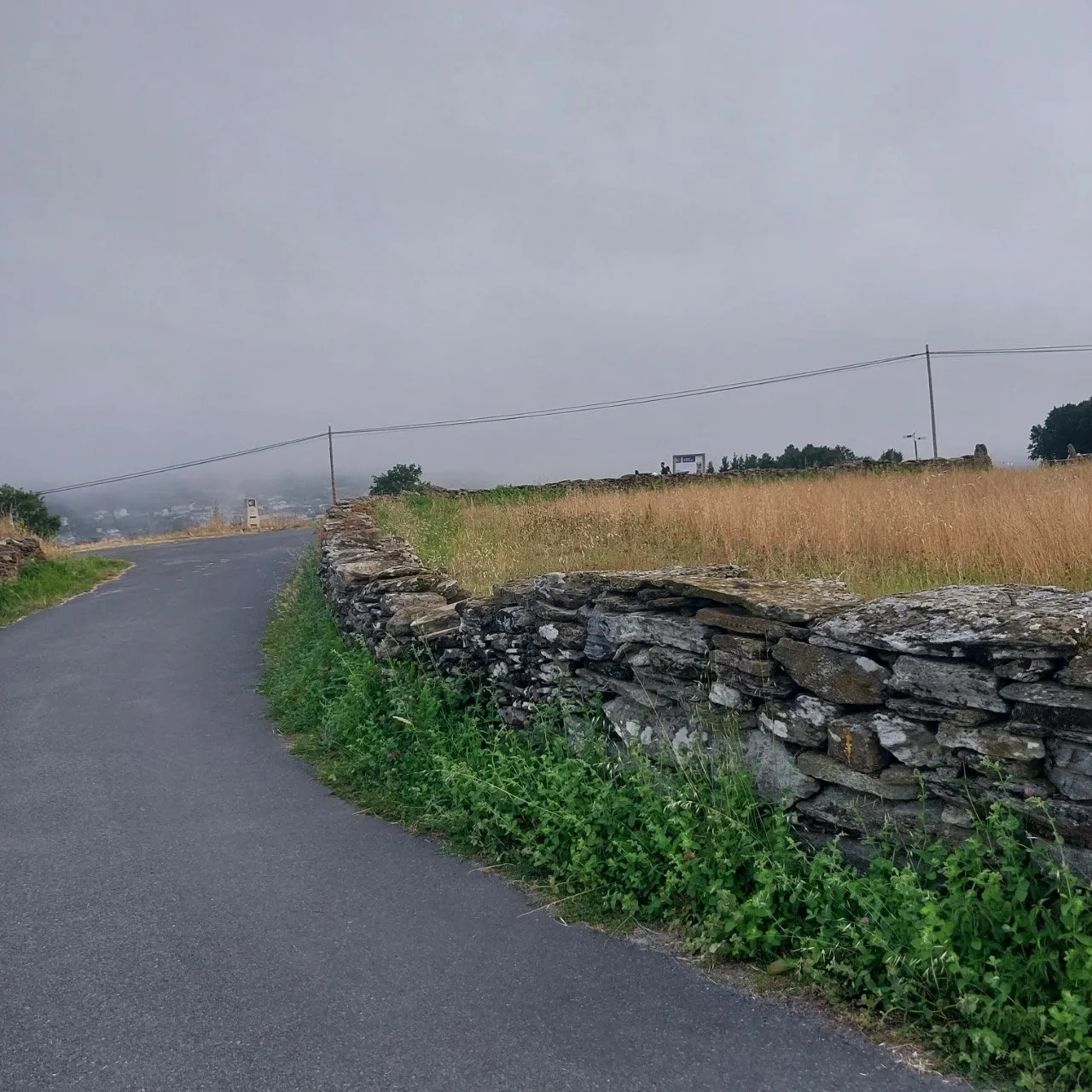 3_68aUd018svc1q51namqril9x_bc1i52.jpg?type=e1920_std