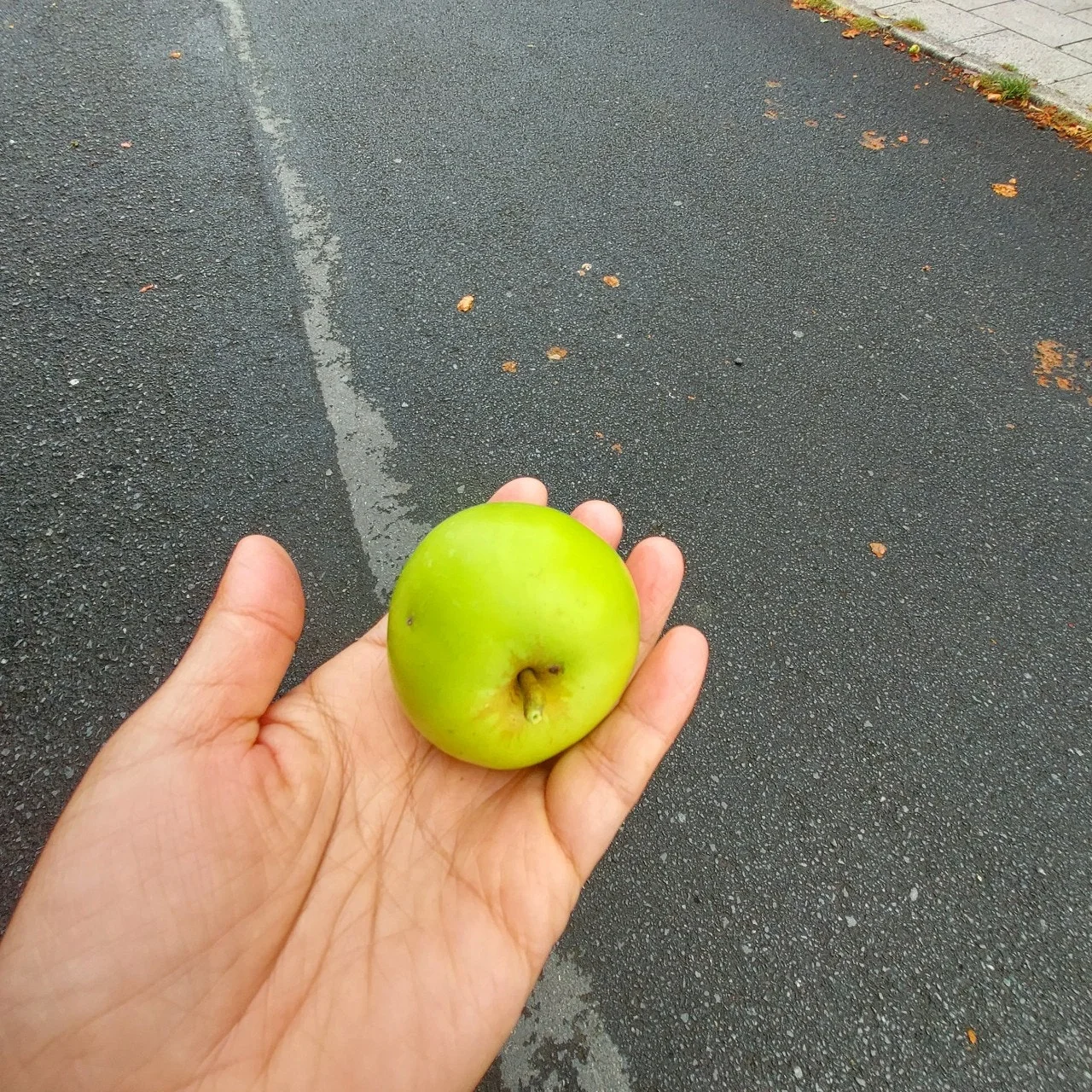 i_dd3Ud018svcqopur984txna_bc1i52.jpg?type=e1920_std