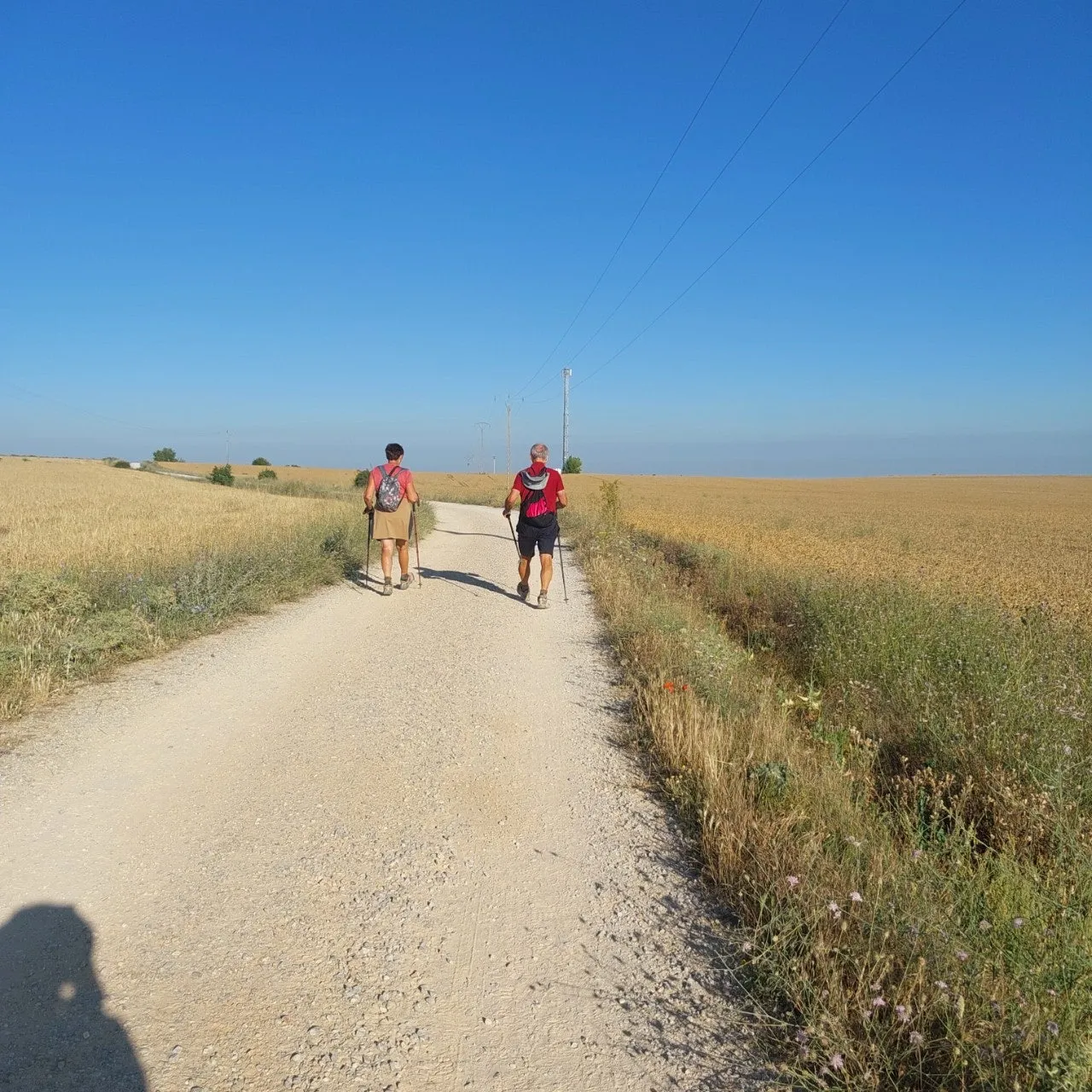 6_hbhUd018svc4q1ua3mqeal4_bc1i52.jpg?type=e1920_std