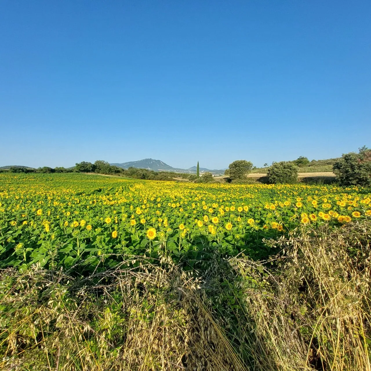 8_2c6Ud018svczox4ljv164xd_bc1i52.jpg?type=e1920_std