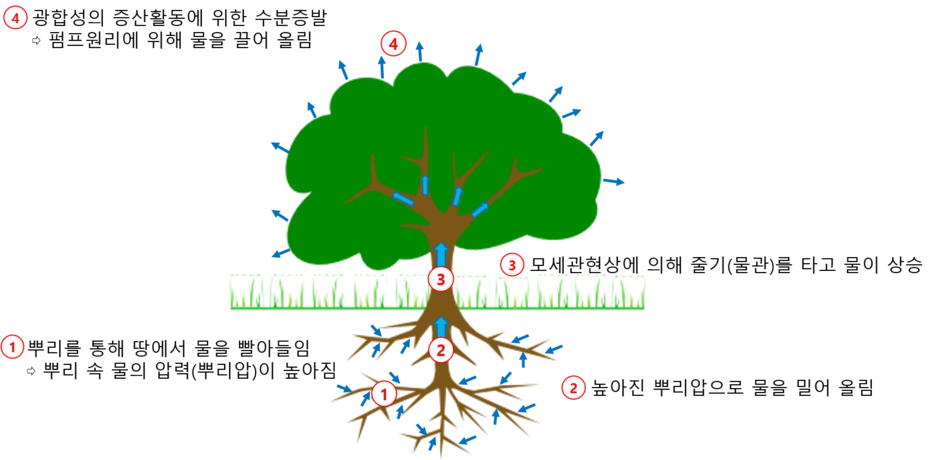 03%25EB%2582%2598%25EB%25AC%25B4%25EC%2597%2590%25EC%2584%259C_%25EB%25AC%25BC%25EC%259D%2598_%25EC%259D%25B4%25EB%258F%2599.png?type=w1