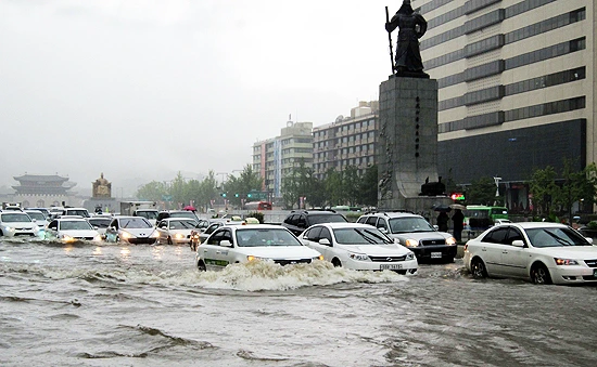 00%25EC%2584%25B8%25EC%25A2%2585%25EB%25A1%259C_%25EC%25B9%25A8%25EC%2588%2598%2528%25EC%2584%259C%25EC%259A%25B8%25ED%2583%2580%25EC%259E%2584%25EC%258A%25A4%2529.jpg?type=w1