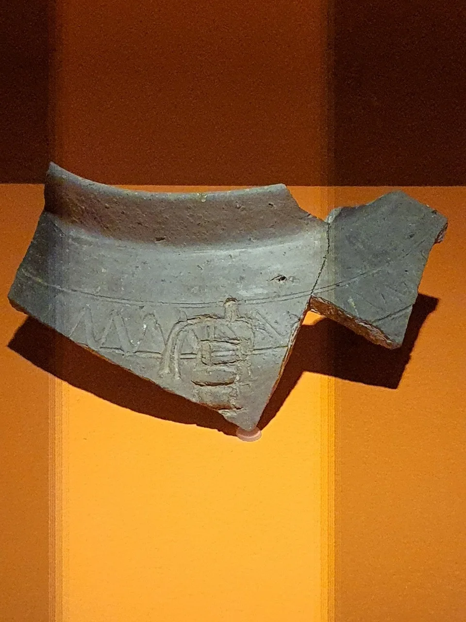 3472594408841782096.jfif