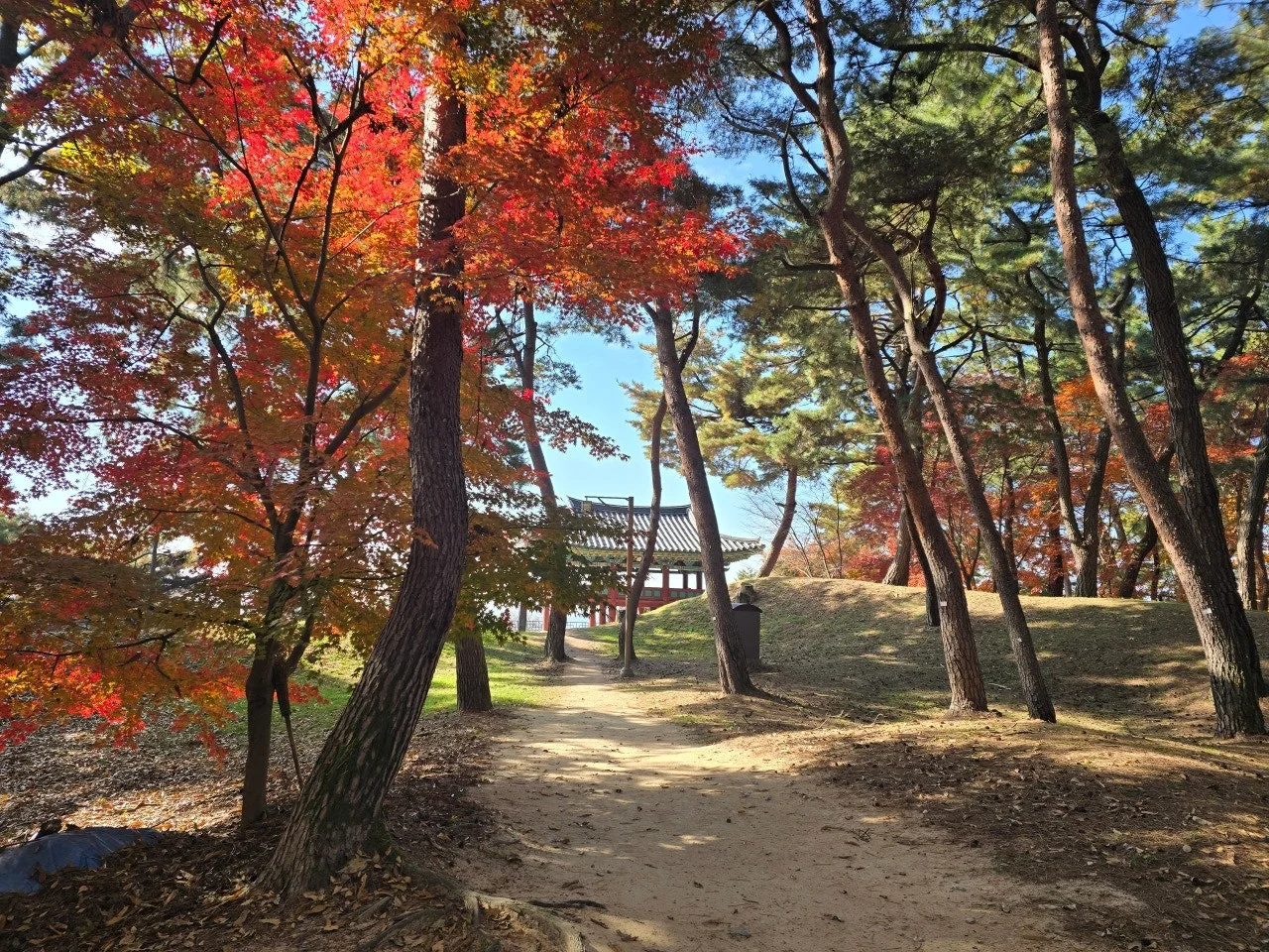 3472595050685448272.jfif