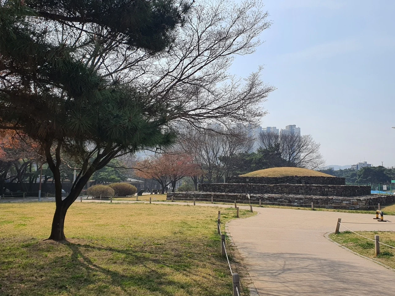 3472594408784758352.jfif