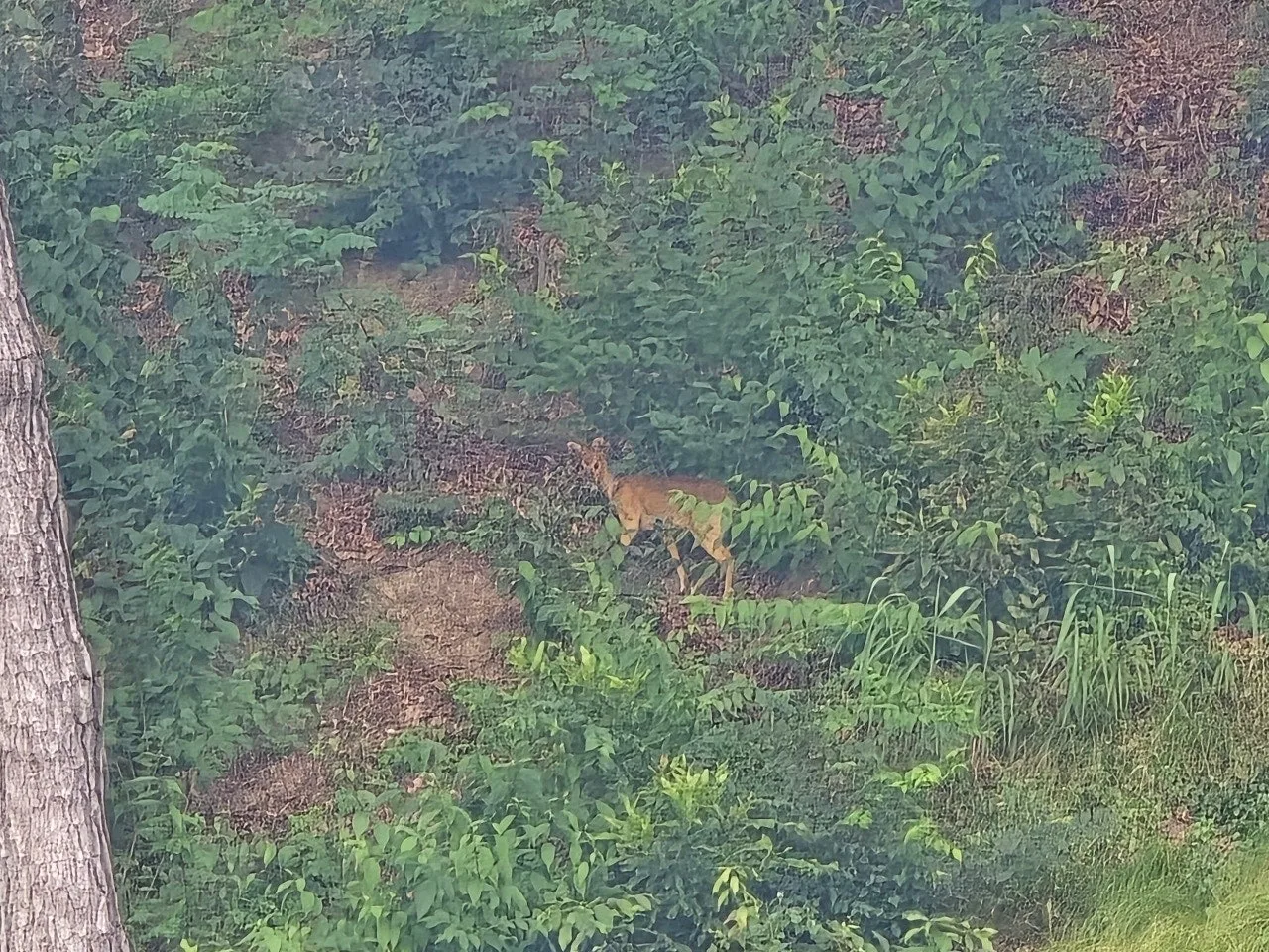 3472594459412596304.jfif