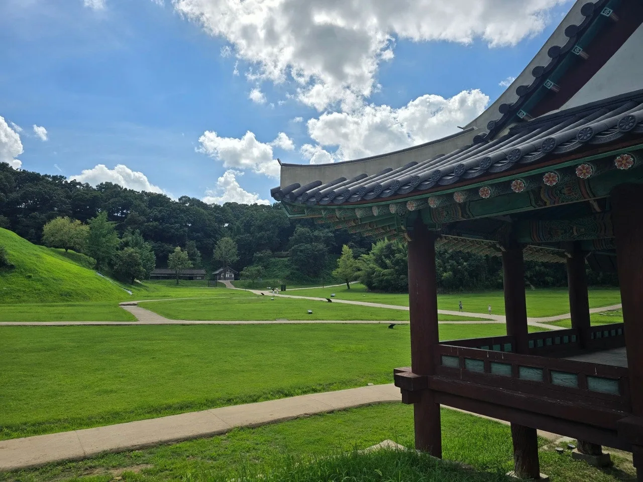 3472594459437412432.jfif