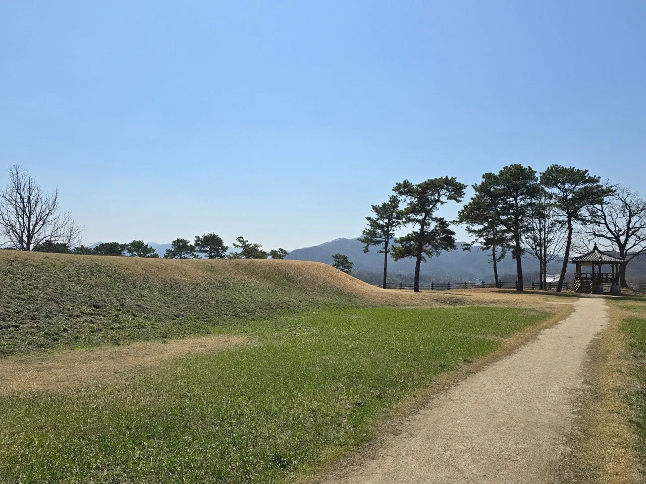 3472594408947374160.jfif