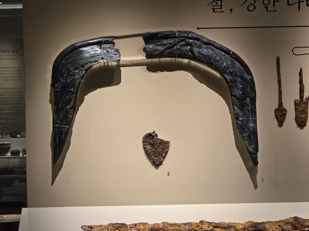 3472594459378041168.jfif