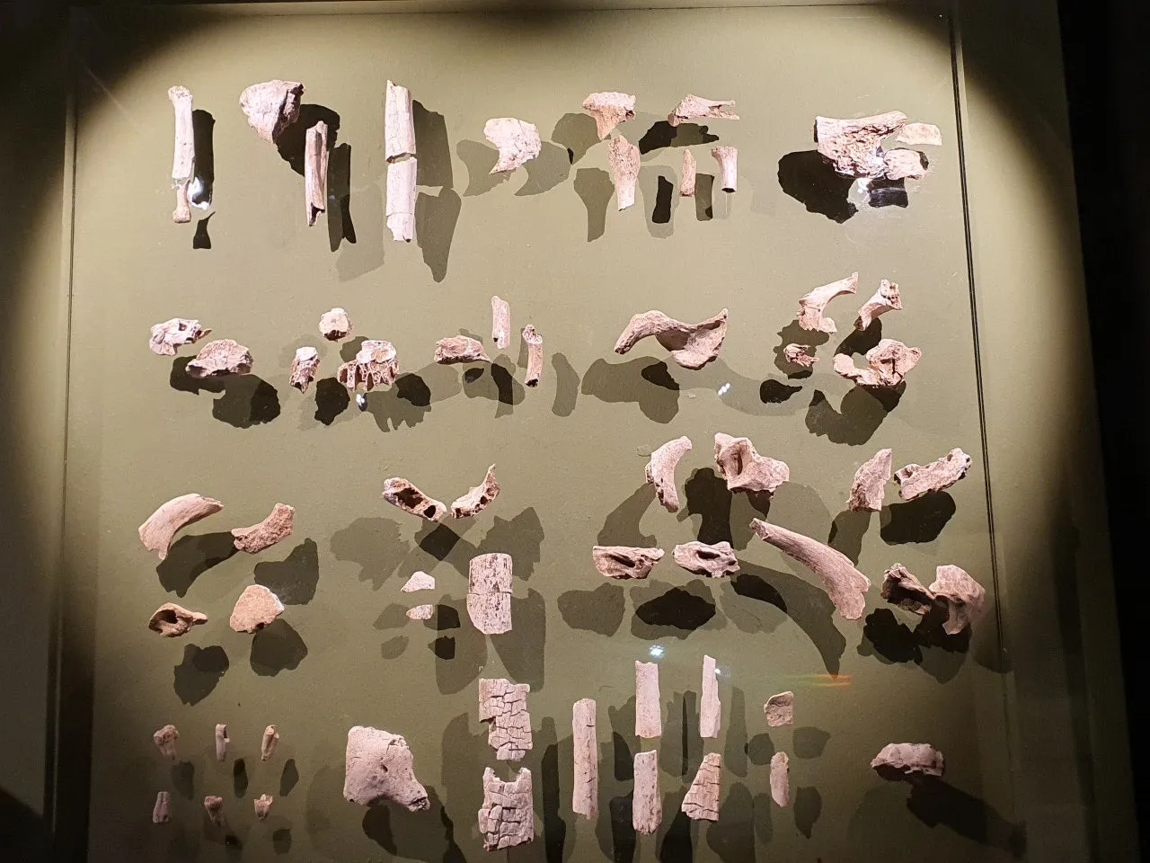 3472594408816086608.jfif