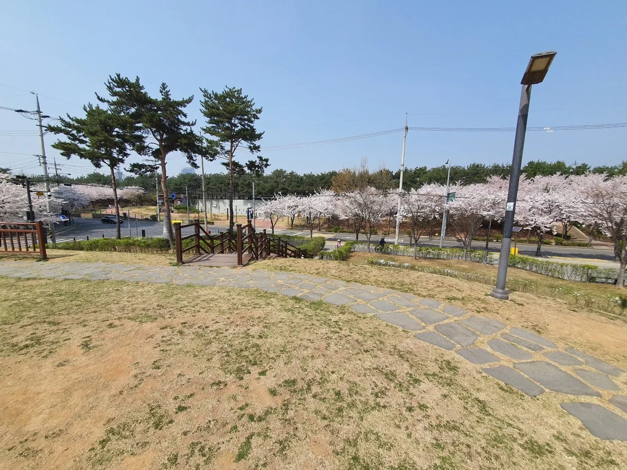 3472594408753234768.jfif