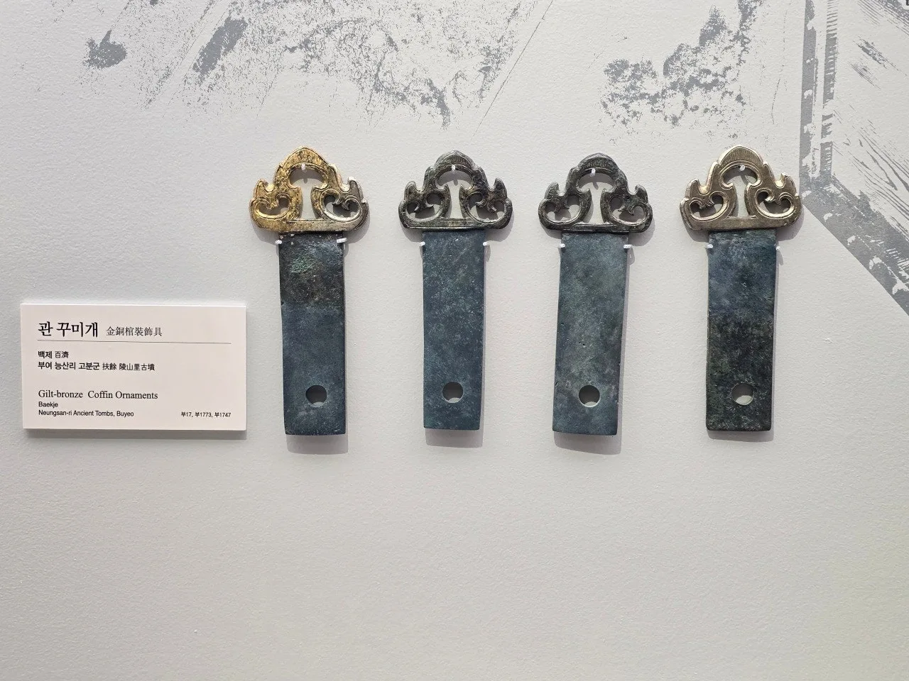 3472594758145344592.jfif