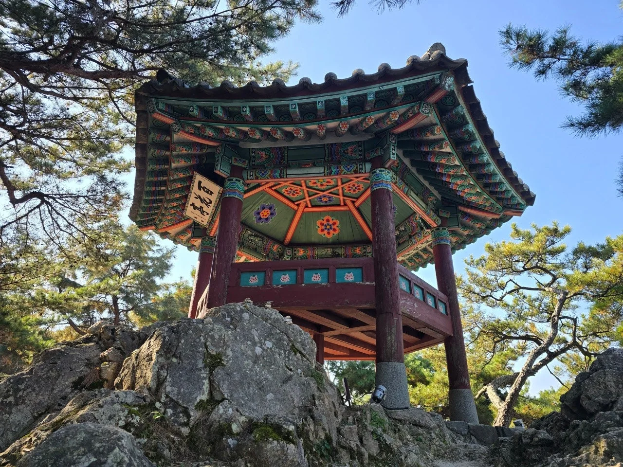 3472595050712773968.jfif