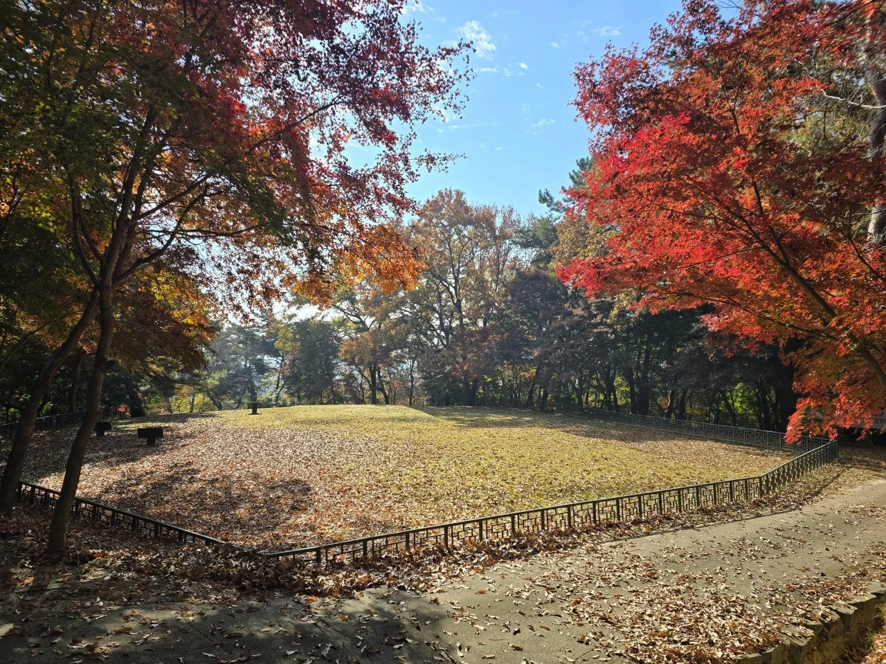 3472595050681779280.jfif