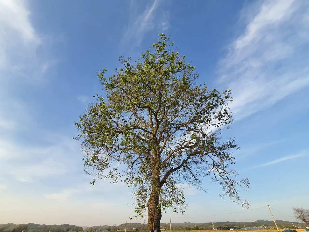 3472594408847850832.jfif