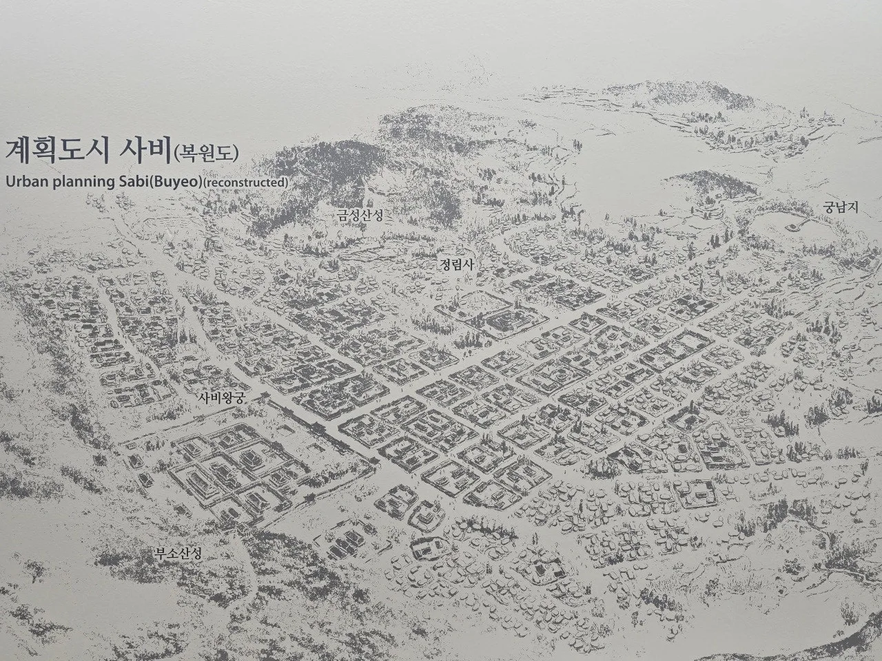 3472594758142789968.jfif