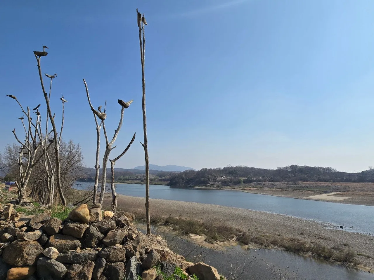 3472594408922162256.jfif