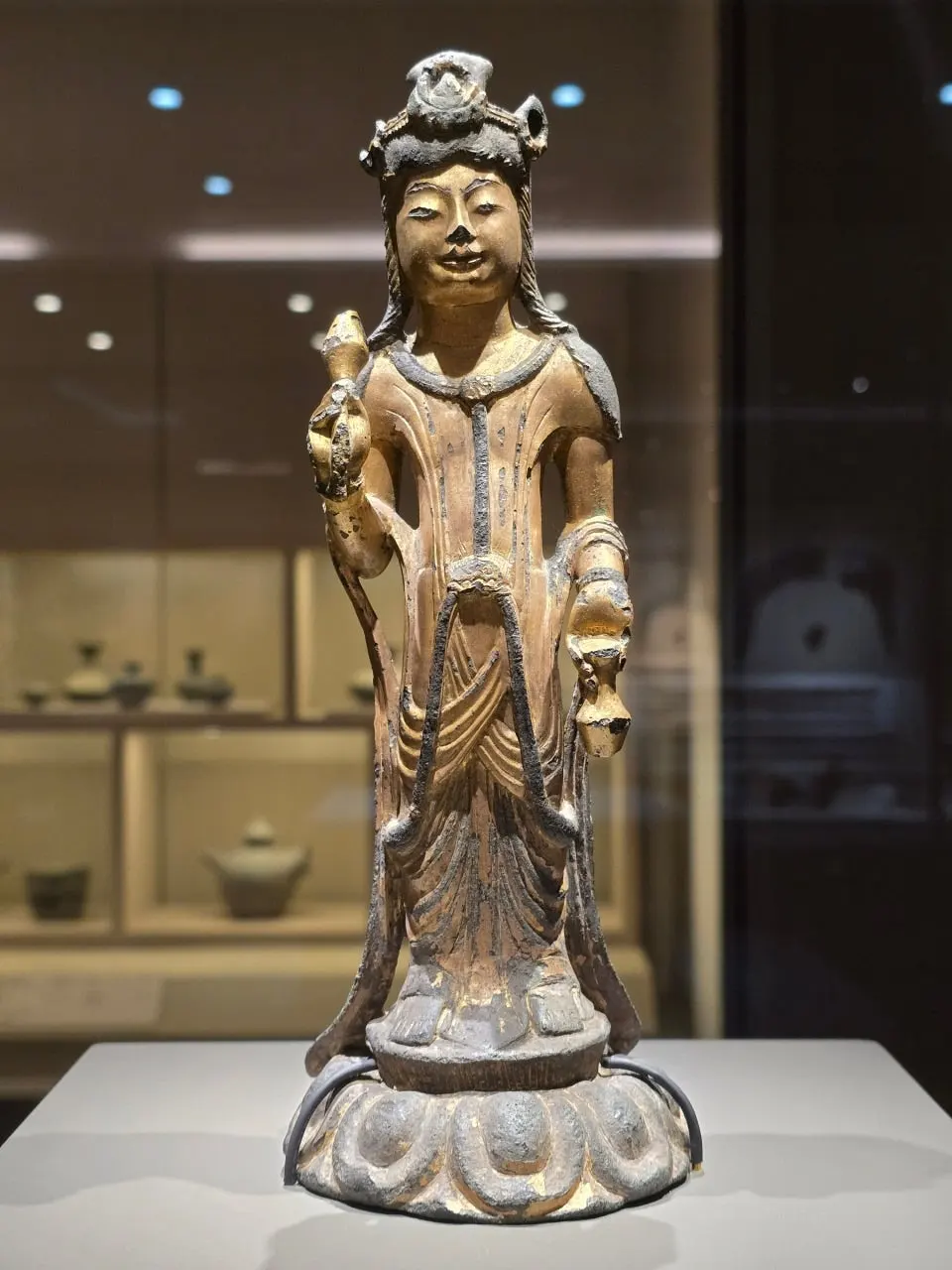 3472594459379195984.jfif