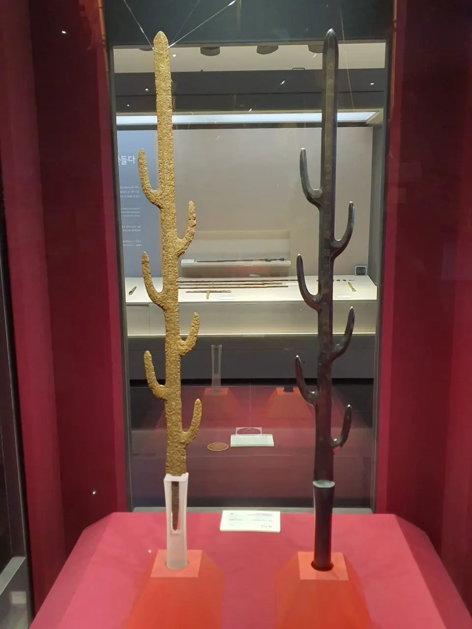 3472594408807799632.jfif