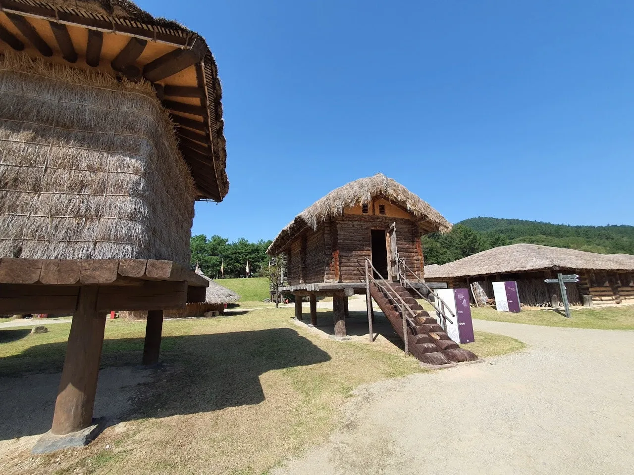 3472594408310496080.jfif