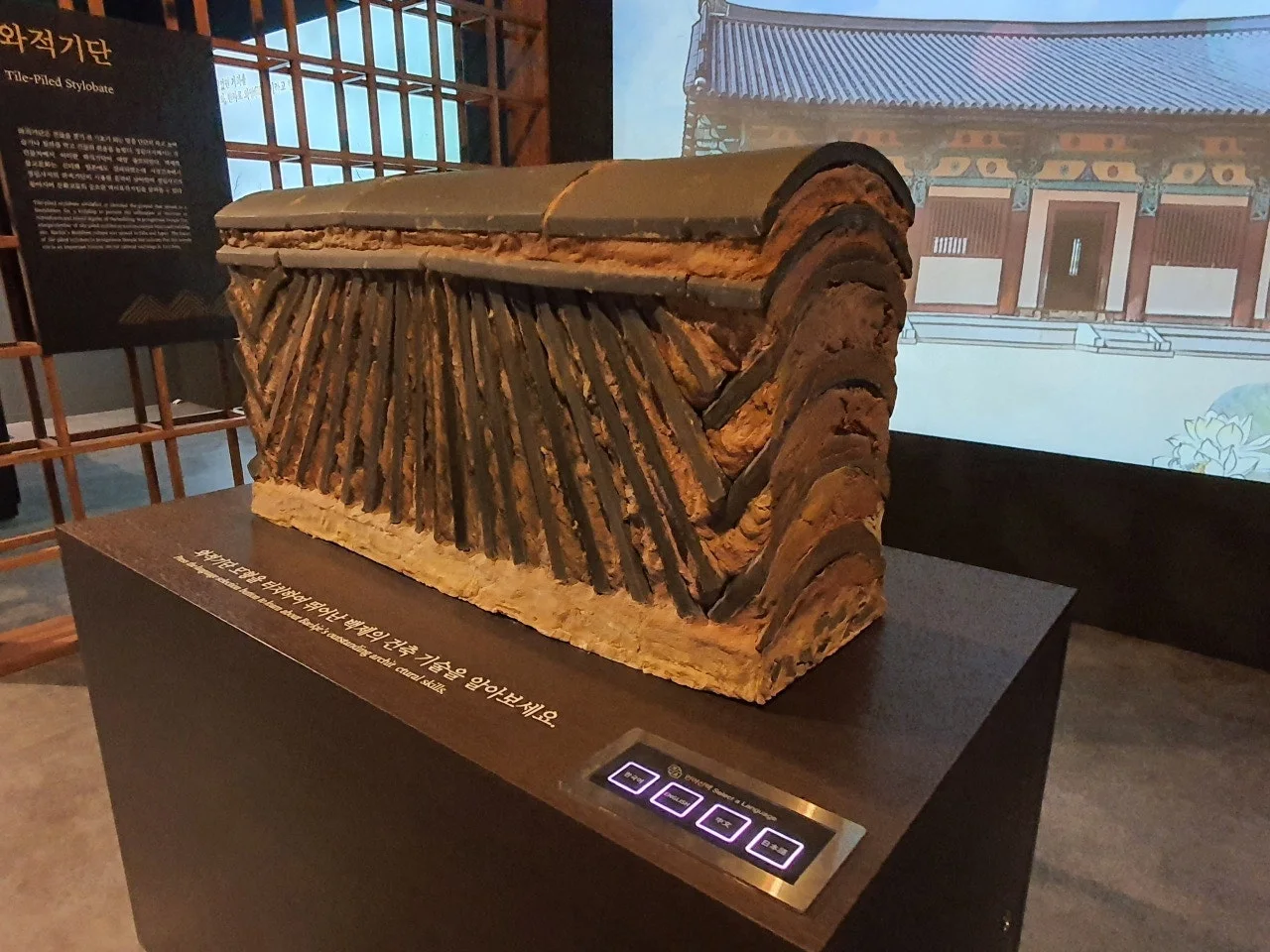 3472594408358237776.jfif