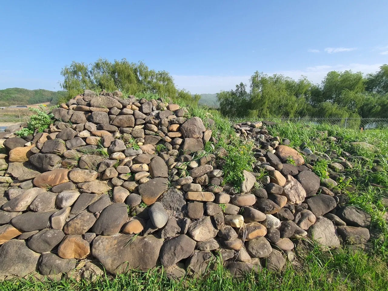 3472594408852569936.jfif