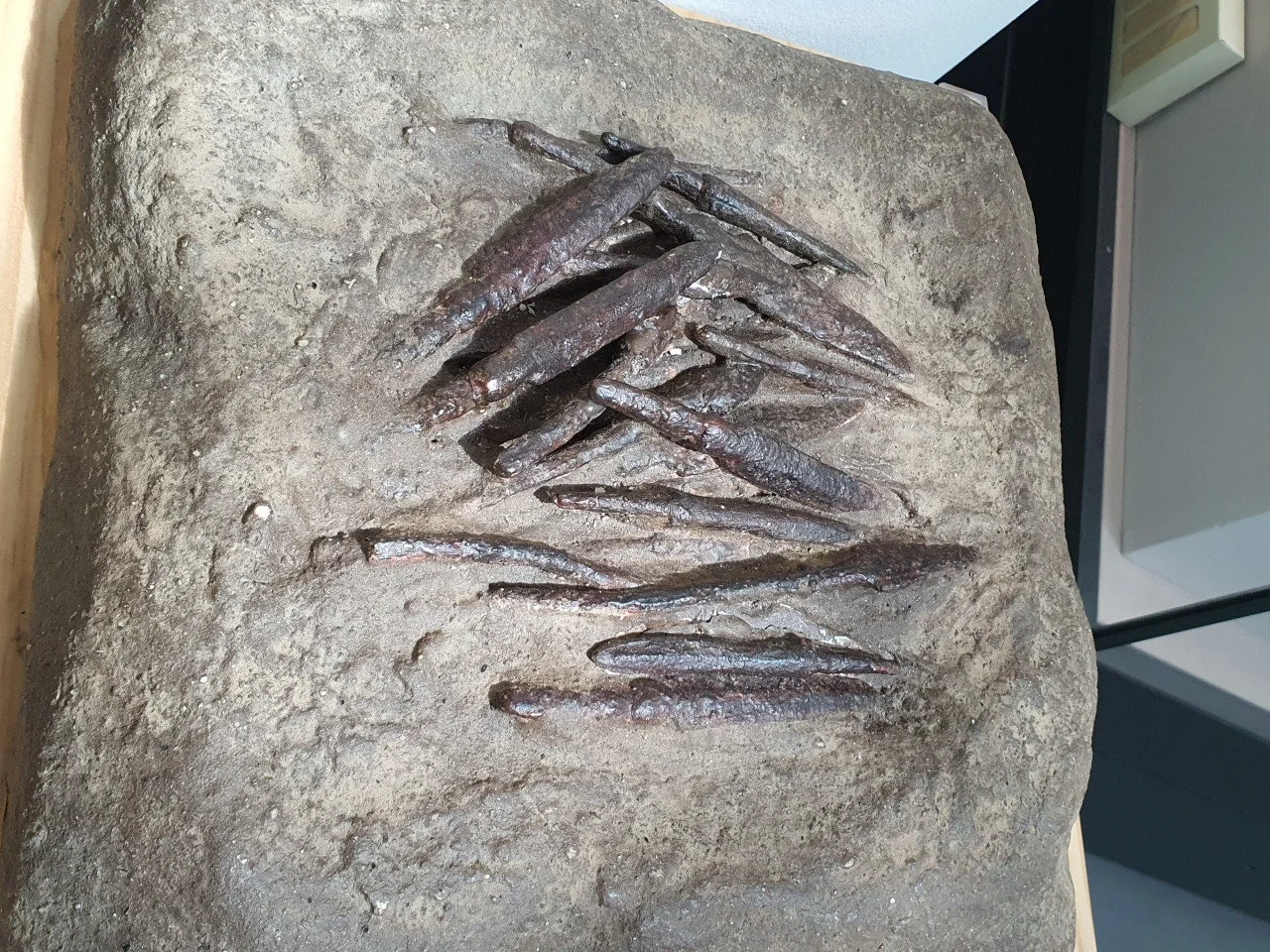 3472594408720264016.jfif