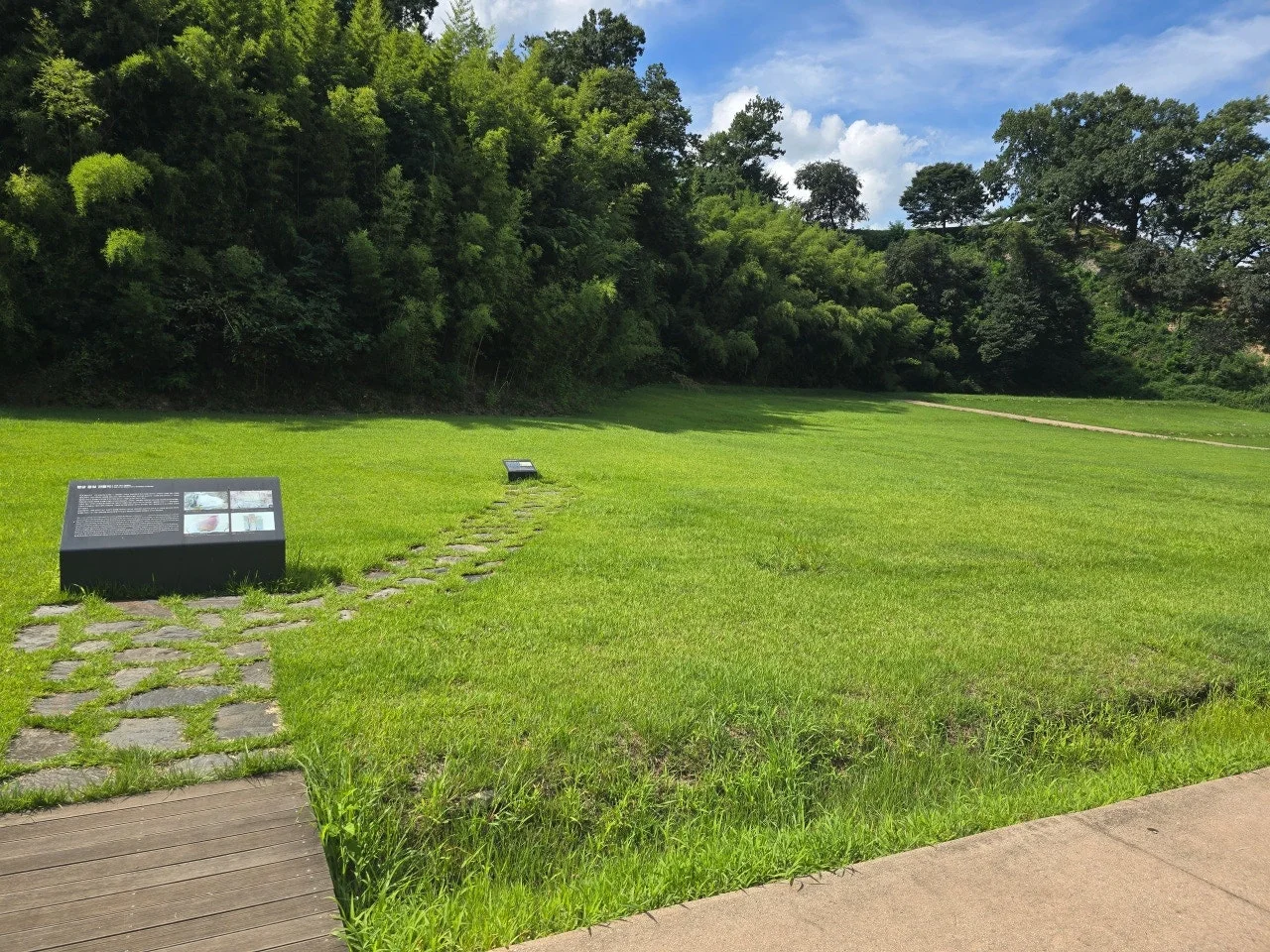 3472594459446076496.jfif