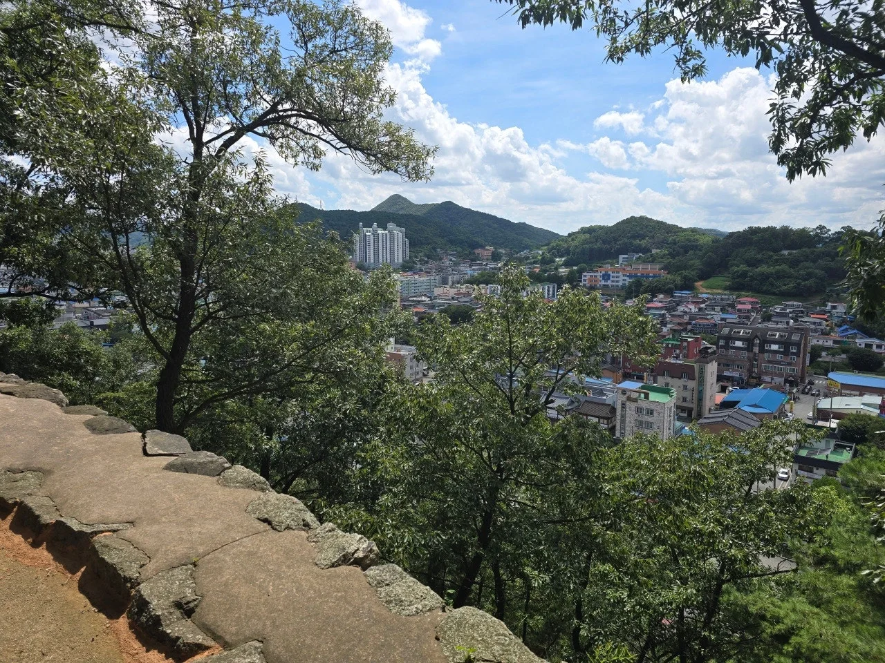 3472594459420488016.jfif