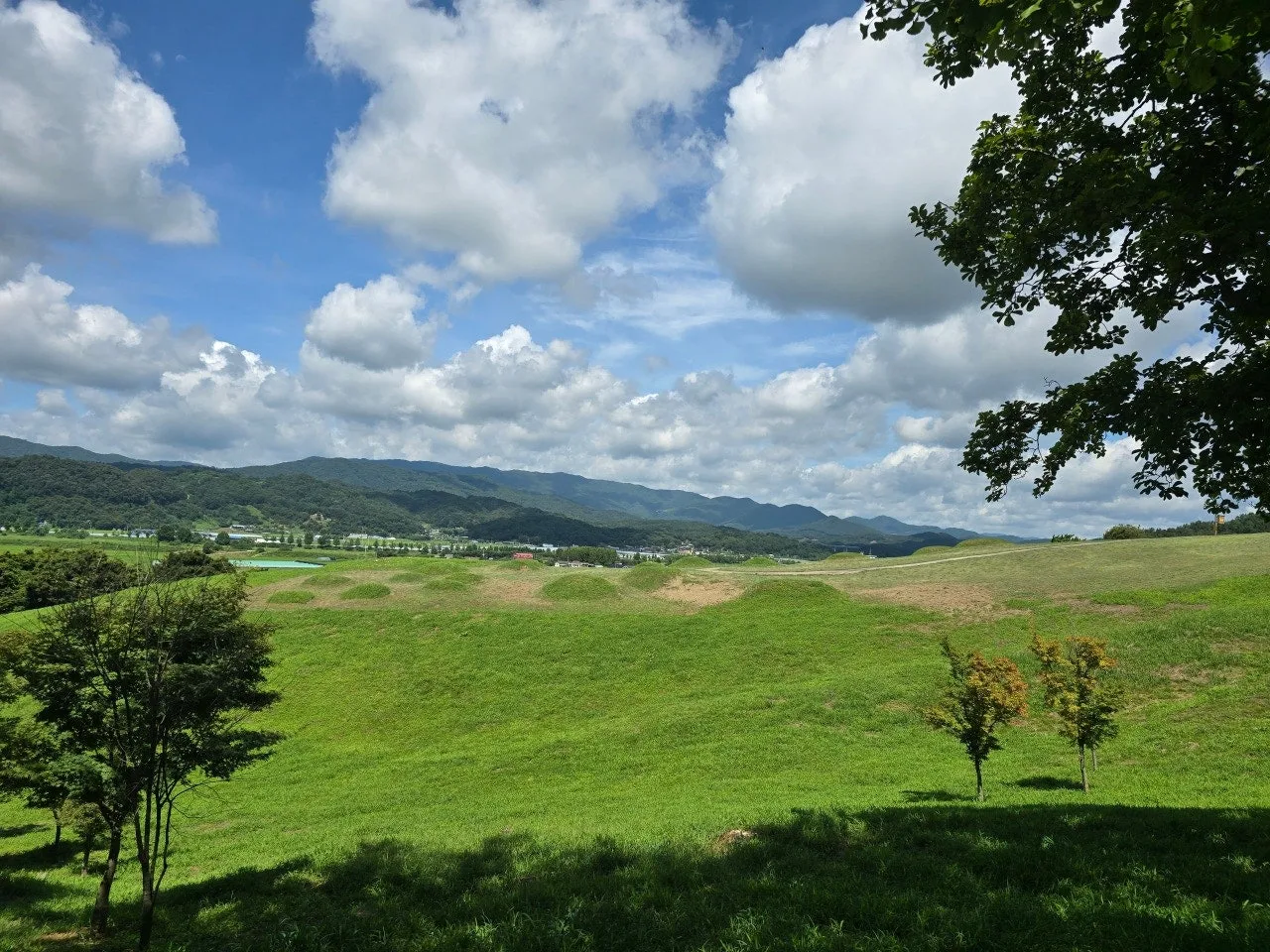 3472594459348782160.jfif