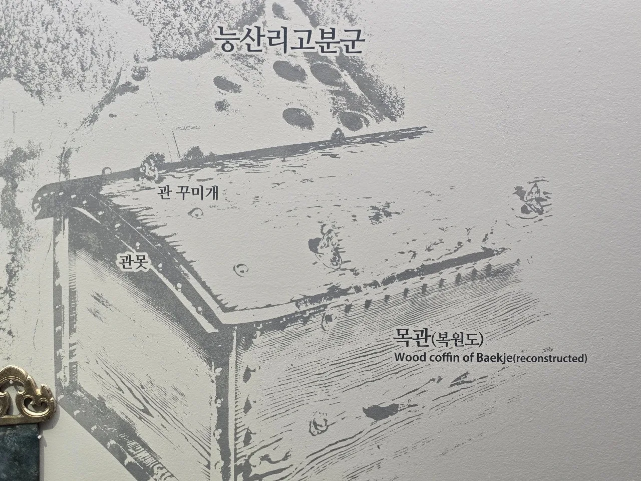 3472594758145486928.jfif