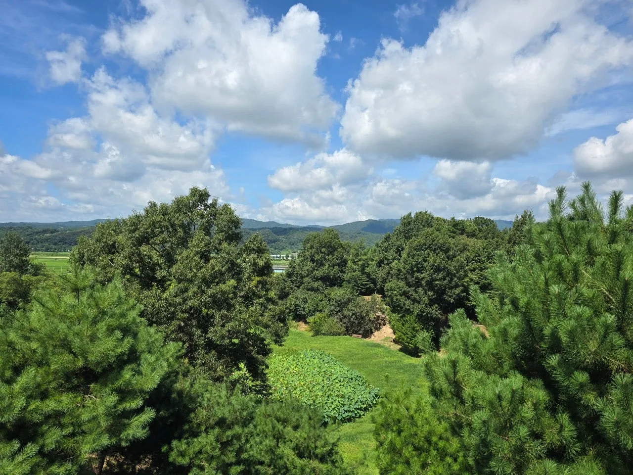 3472594459339868496.jfif