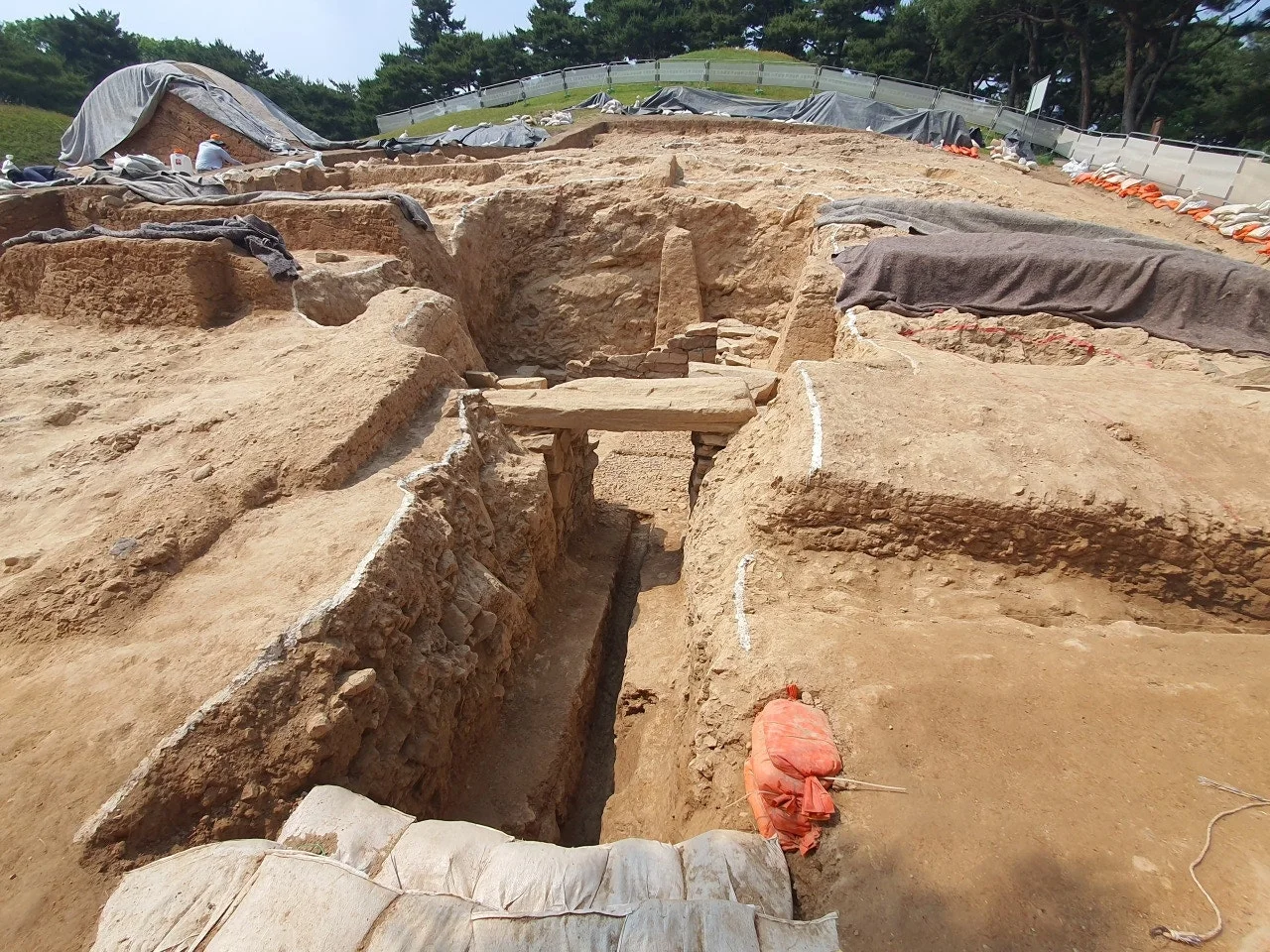 3472594408598154832.jfif