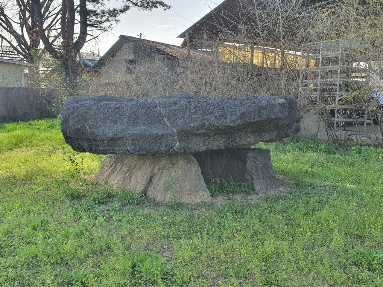 3472594408857163344.jfif