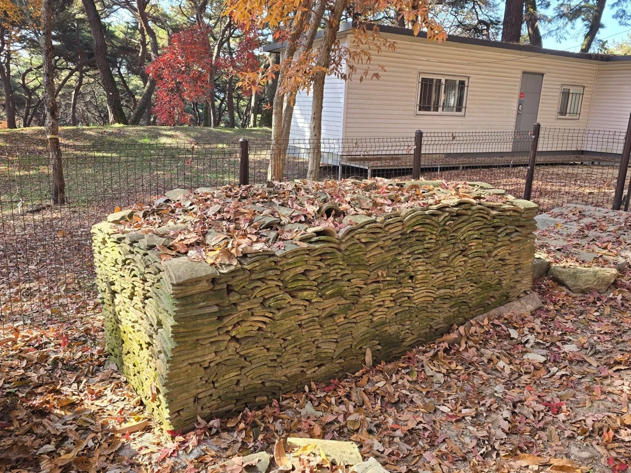 3472595050701960528.jfif