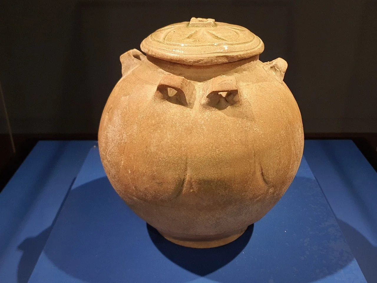 3472594408663928400.jfif