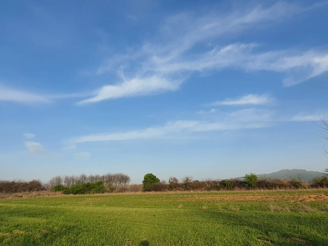 3472594408844658768.jfif