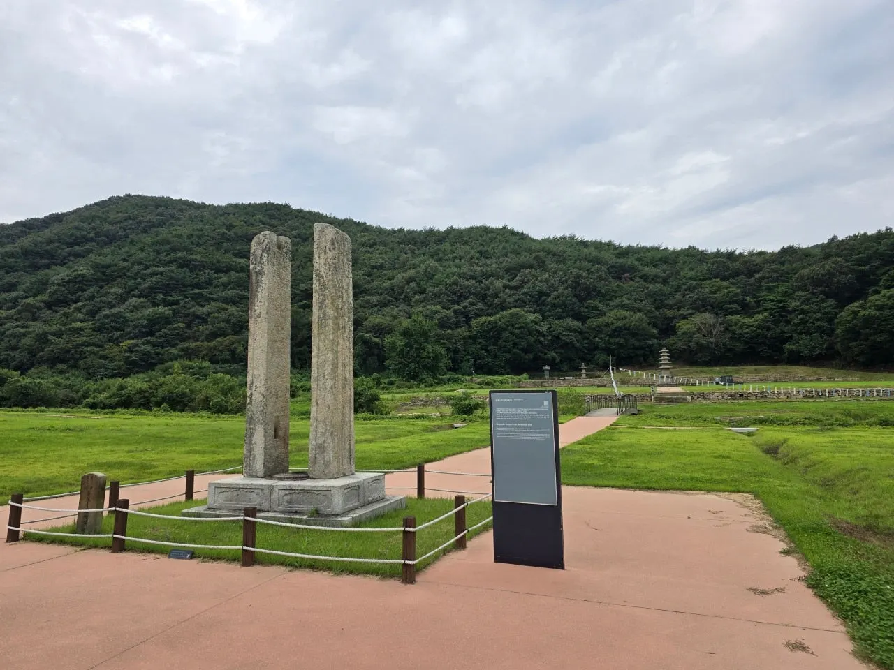 3472594654988206160.jfif