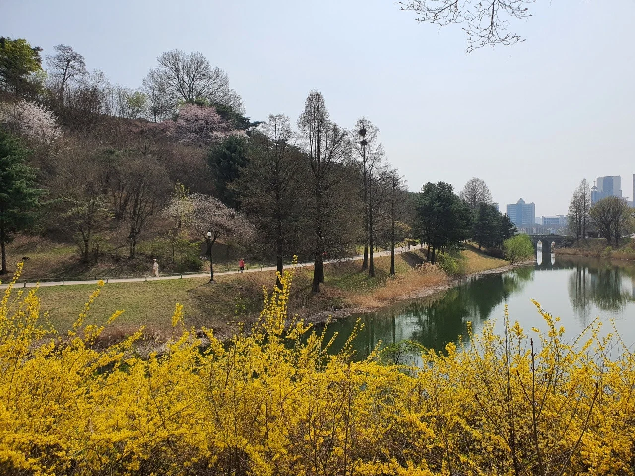 3472594408538193744.jfif