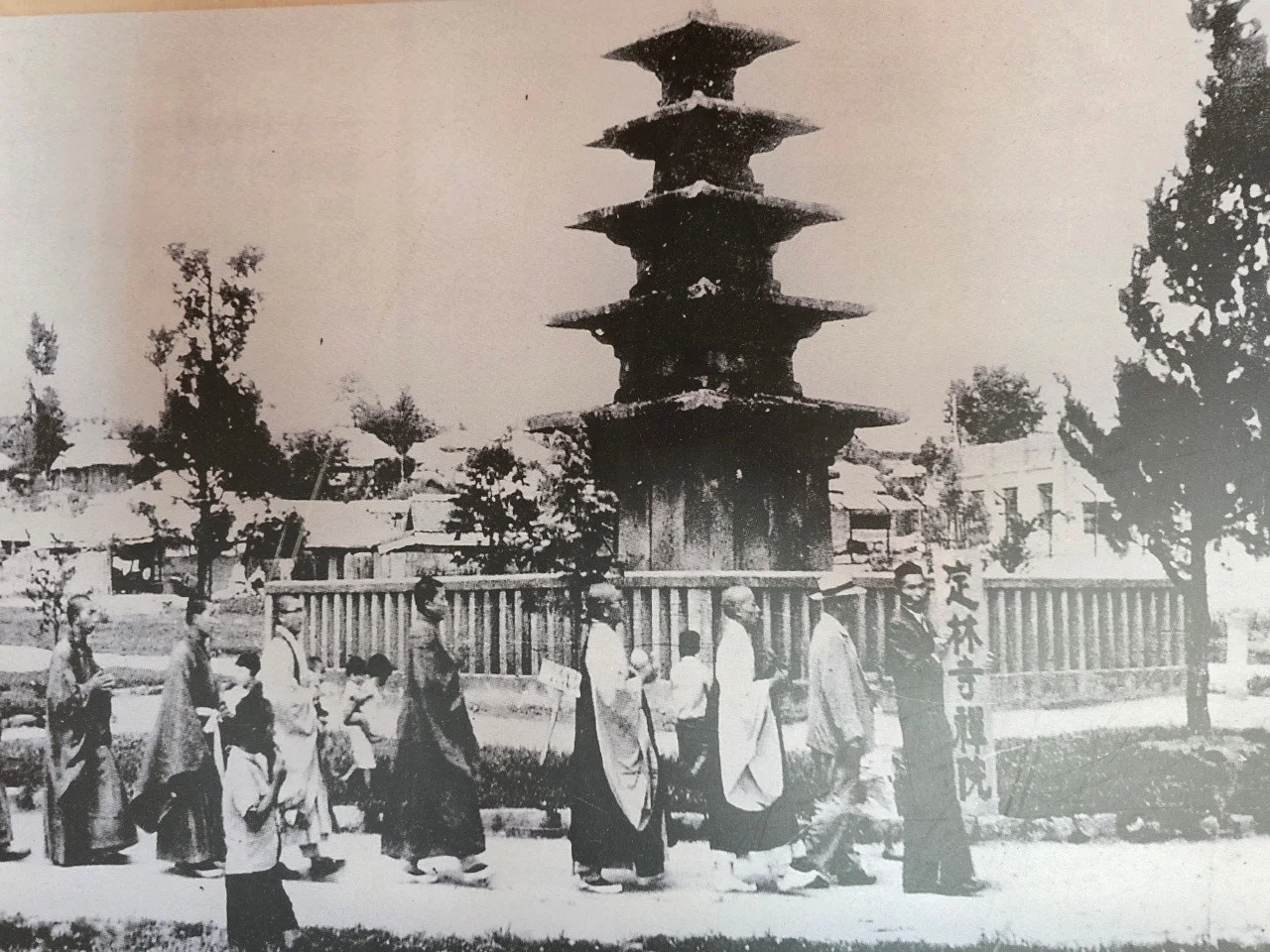 3472595050749689168.jfif