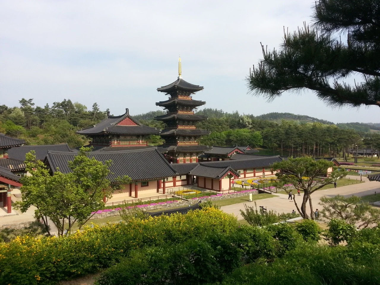 3472594408240514896.jfif