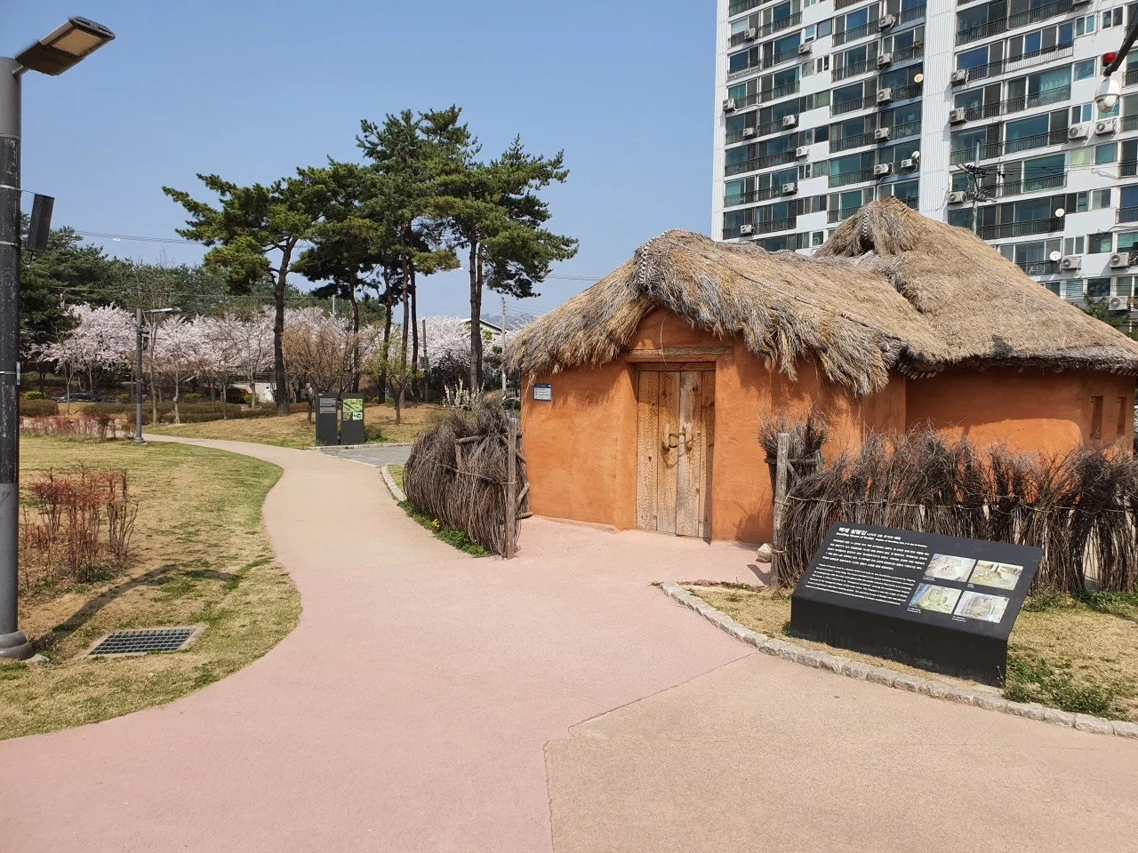 3472594408759973456.jfif